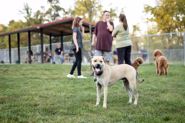 Settlers Cabin Park Off-Leash Area